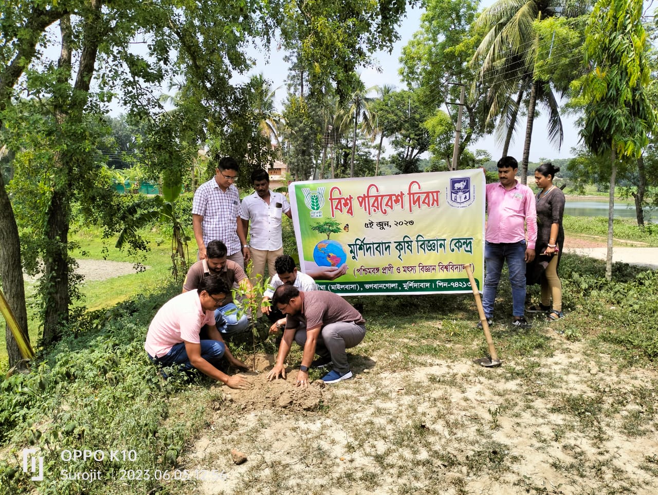 Celebration of World Environment Day-2023